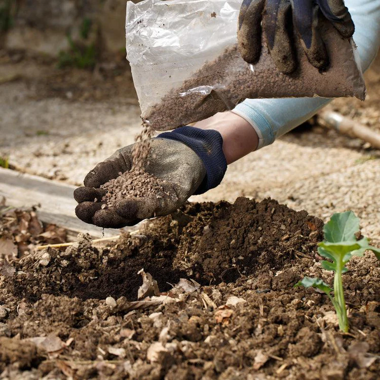SOIL & PLANT ENHANCERS